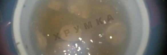 шашлык из бычьих яиц в духовке