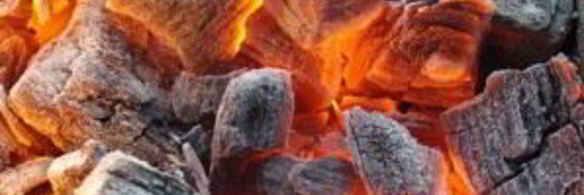 шашлык из дичи