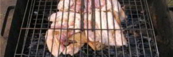 шашлык из дичи