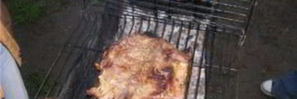 шашлык из дичи