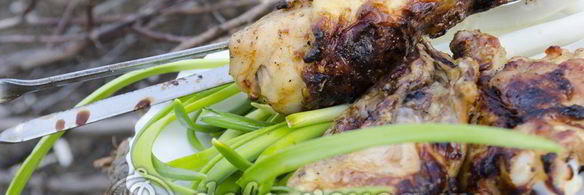шашлык из курицы