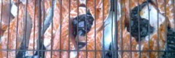 шашлык из рыбы на костре