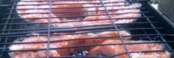 шашлык из рыбы на костре