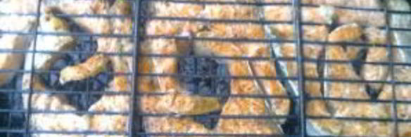 шашлык из рыбы на костре