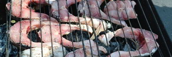 шашлык из сазана