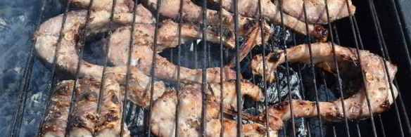 шашлык из сазана