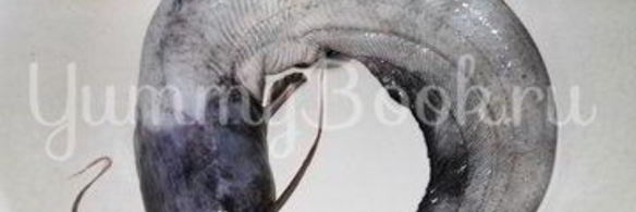 шашлык из сома в микроволновой печи