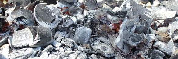 шашлык из свинины на минеральной воде