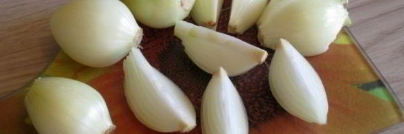 шашлык из свинины с луком в армянском маринаде