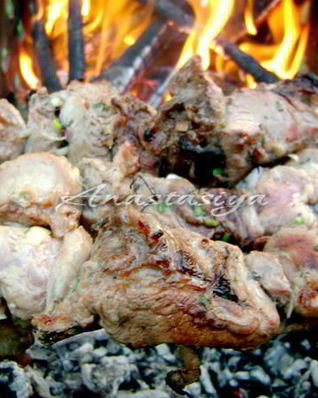 Шашлык из свинины в кефире с зеленым луком