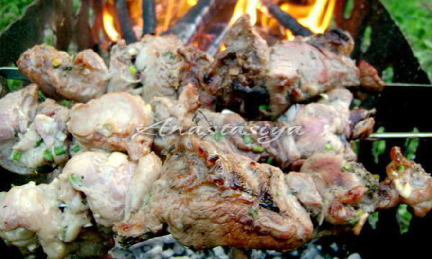 Рецепт шашлыка из свинины в кефире с зеленым луком