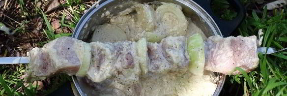 шашлык из свинины в майонезе