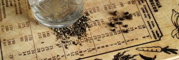 шашлык из свиных ребрышек