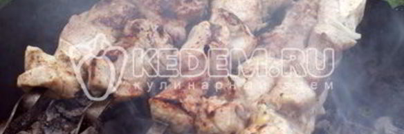 шашлык с киви