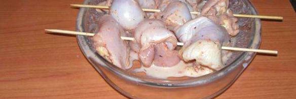 зимний шашлычок