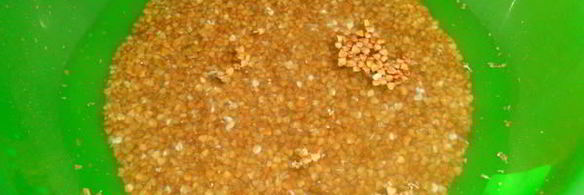 гречневые тефтели