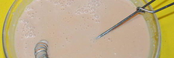 курино-свинные тефтели, запеченные в соусе