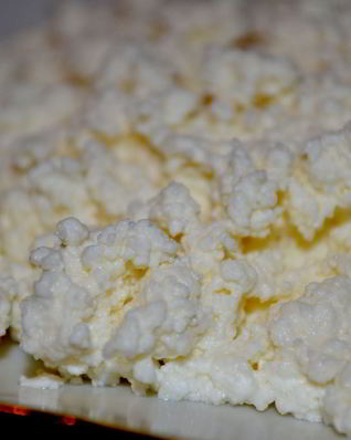 Творог для вареников