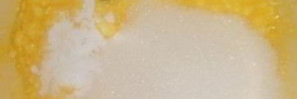 творожное тесто для вареников на пару