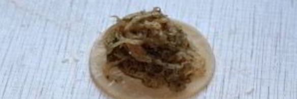 вареники с квашеной капустой