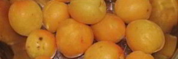 абрикос в сиропе на зиму