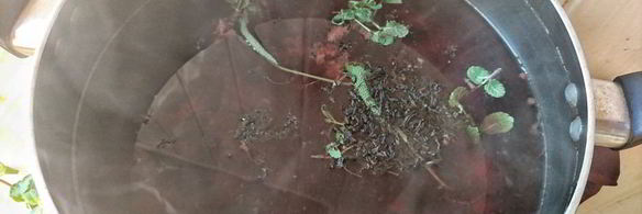 чайный напиток с ежевикой и мятой