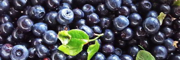 чернично-яблочный напиток