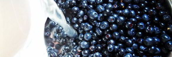 чернично-яблочный напиток