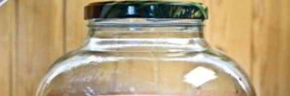 домашнее вино из смородины без дрожжей