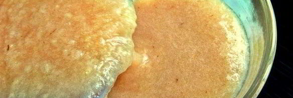 фруктовый коктейль