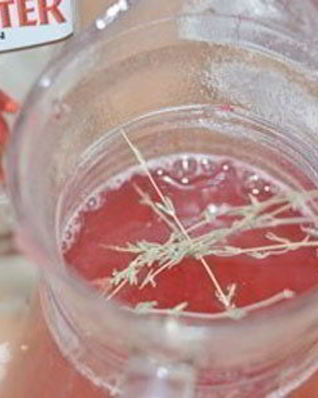 Горячий клюквенный напиток с джином