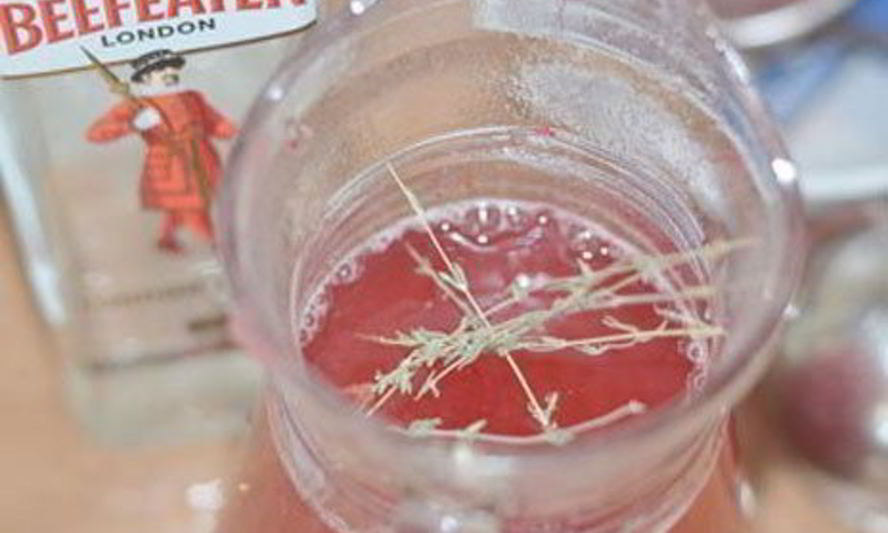 Рецепт горячего клюквенного напитка с джином