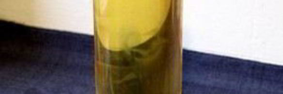 коктейль ко дню благодарения