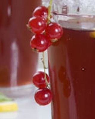 Коктейль осенний