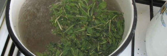 напиток мятный