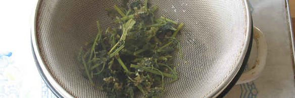 напиток мятный