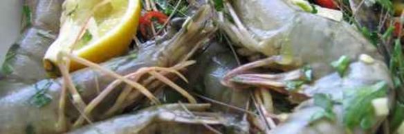 пиво с креветками