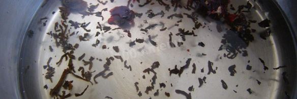 пунш классический алкогольный