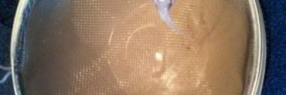 рисовый напиток