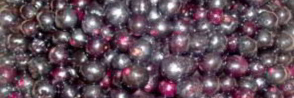 сироп из черноплодной рябины