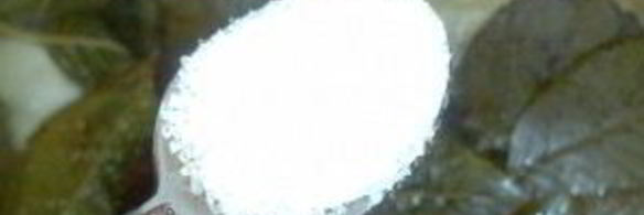 сироп из черноплодной рябины