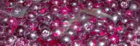 сироп из черноплодной рябины