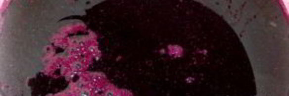 сироп из черноплодной рябины