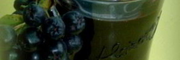 сироп из черноплодной рябины