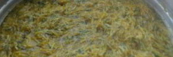 сироп из одуванчиков