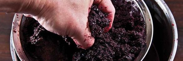 вино из черноплодной рябины