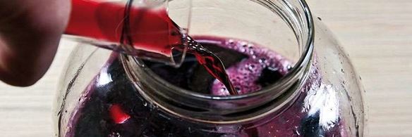 вино из черноплодной рябины