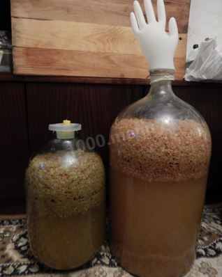 Вино из сушек яблок