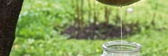 вино из яблок без дрожжей