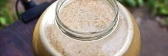 вино из яблок без дрожжей